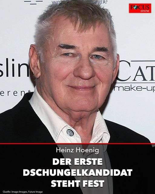 Heinz Hoenig Krankheit